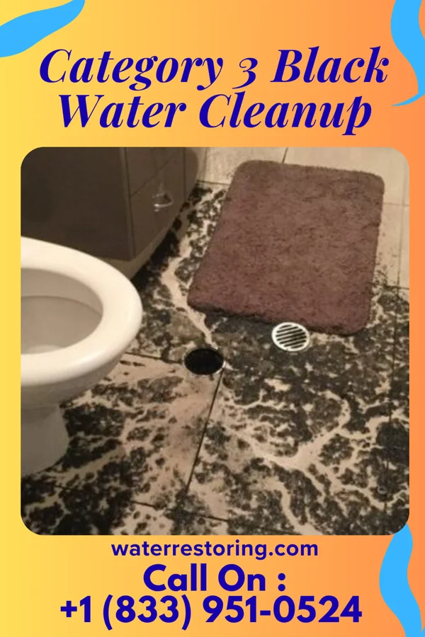 Category 3 Black Water Cleanup in McPherson, KS